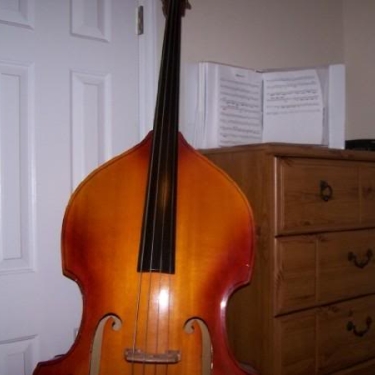 My Pride and Joy Double Bass